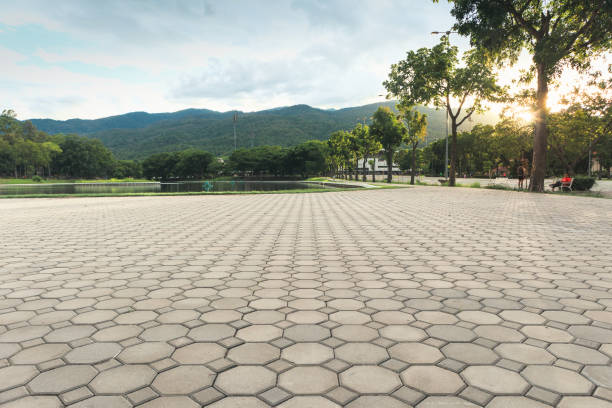 Best Concrete Paver Driveway  in Colwyn, PA