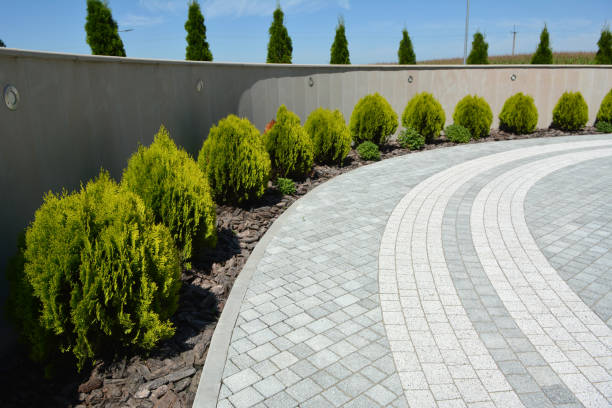 Best Local Driveway Pavers  in Colwyn, PA