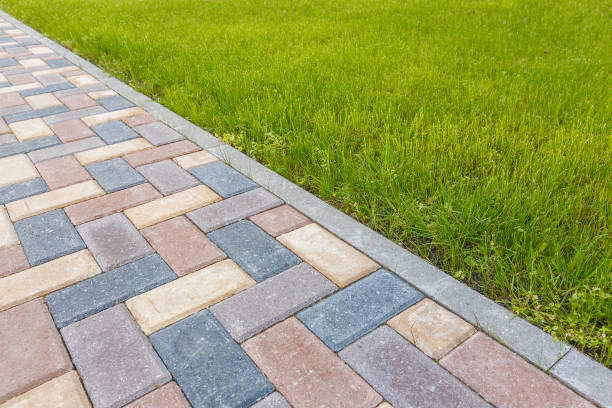 Best Driveway Repair Near Me  in Colwyn, PA